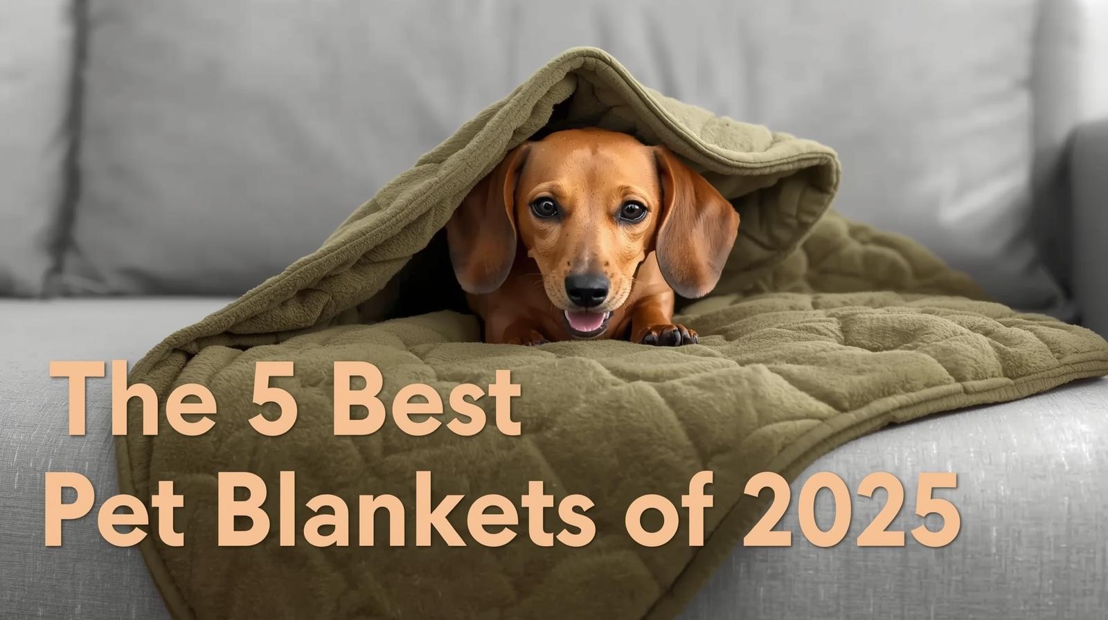 best pet blanket